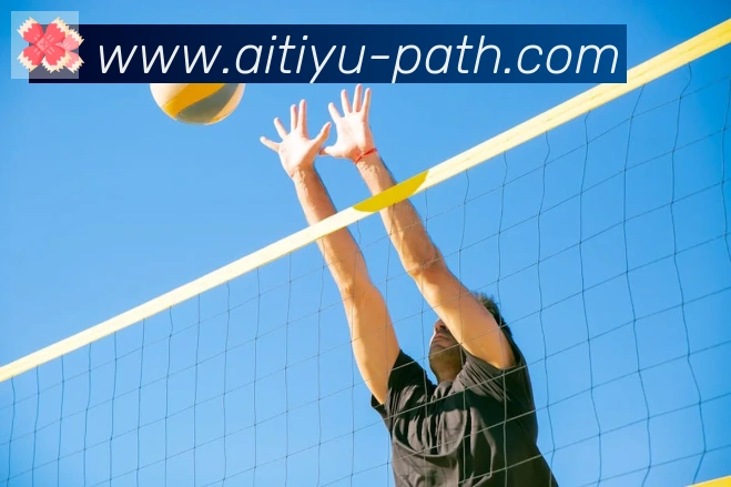 爱体育平台生态图